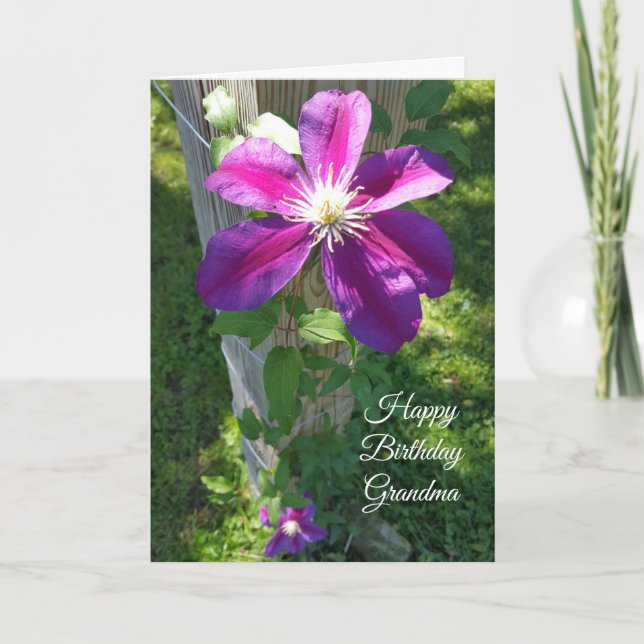 Carte Joyeux Anniversaire Grand-mère Fleur violette Clem (Devant)