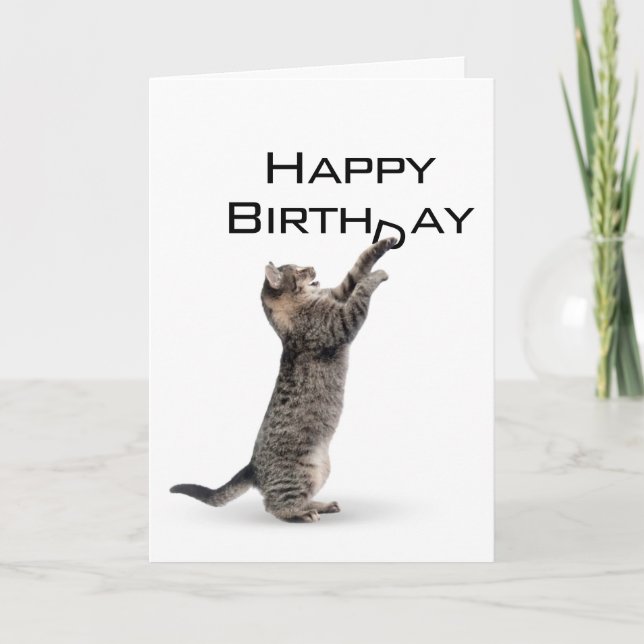 Carte Joyeux Anniversaire gris Tabby Chat (Devant)