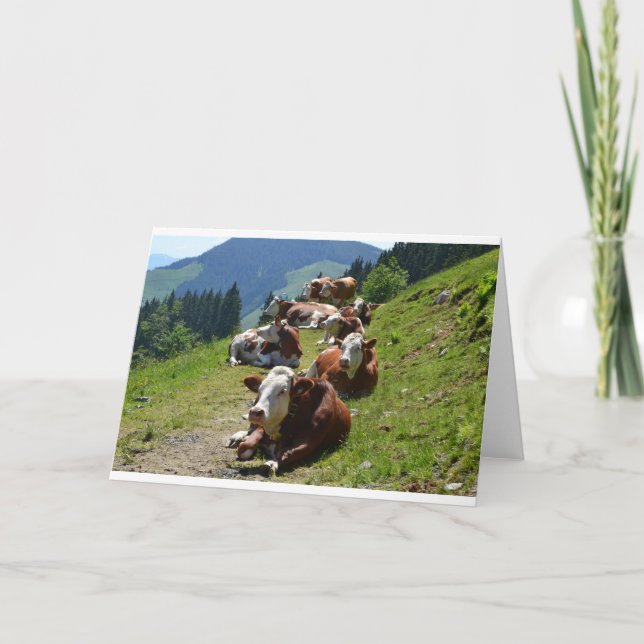 Carte Joyeux Anniversaire Groupe De Vaches (Devant)