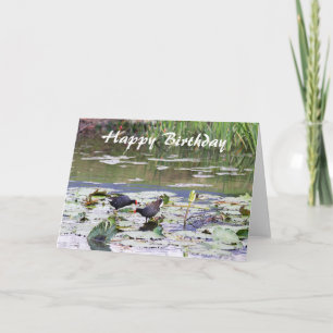 Carte Joyeux anniversaire Hawaiian Common Moorhen, Lily 