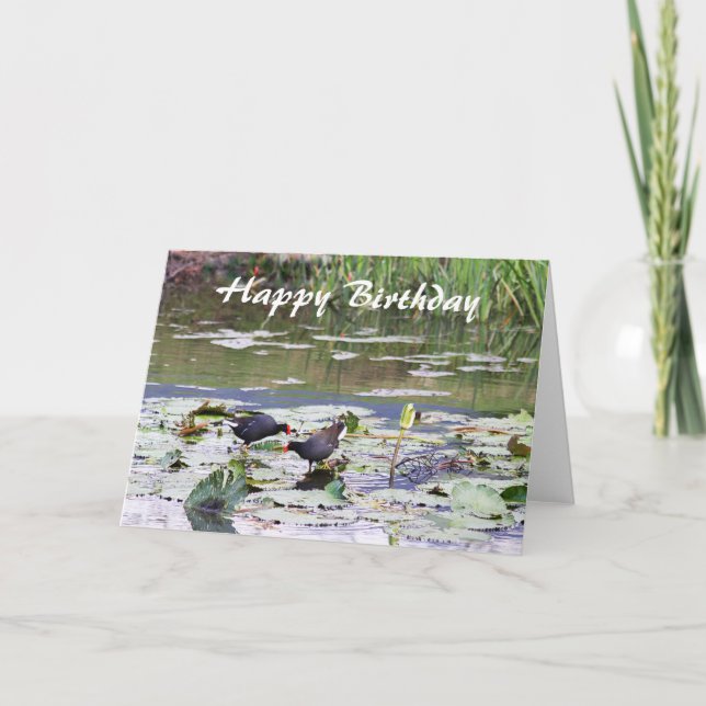 Carte Joyeux anniversaire Hawaiian Common Moorhen, Lily  (Devant)
