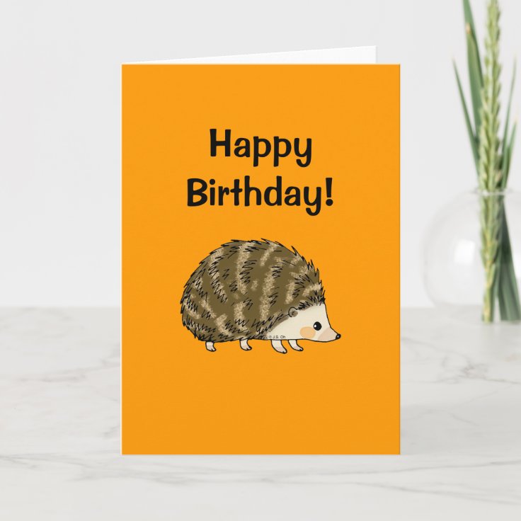Carte De Vœux Faite Main Avec Hérisson - Anniversaire, Anniversaire - Multicolore