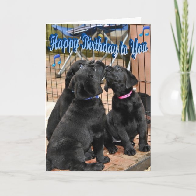 Carte Joyeux anniversaire Honor Litter Trio (Devant)