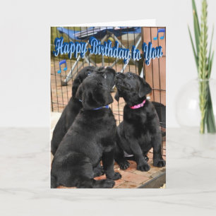 Carte Joyeux anniversaire Honor Litter Trio