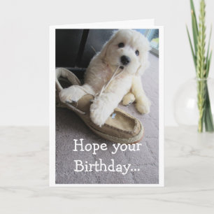 Carte Joyeux Anniversaire, humour de chiot Goldendoodle