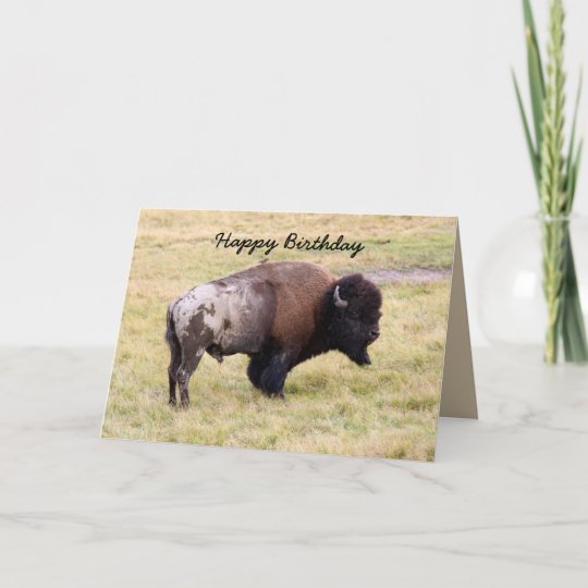 Carte Joyeux Anniversaire Humour Poussiereux De Taureau Zazzle Fr