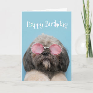 Carte Joyeux Anniversaire Humour Restez cool Amusement C