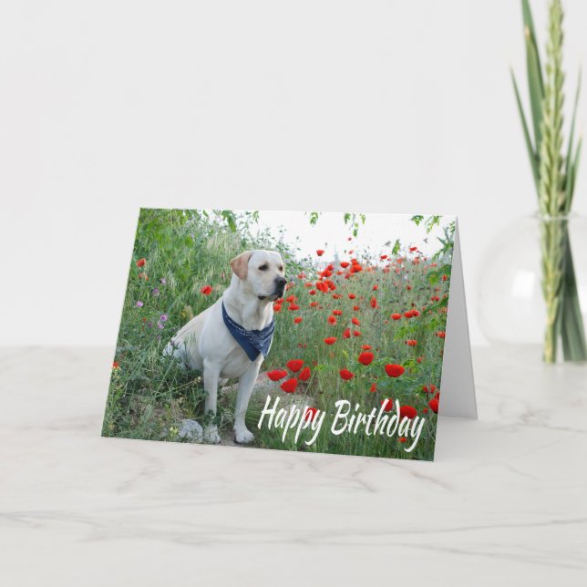 Carte Joyeux anniversaire Jaune Labrador Lab Puppy Dog C (Devant)