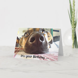 Carte Joyeux anniversaire je ne fais que le NEZ mignon c