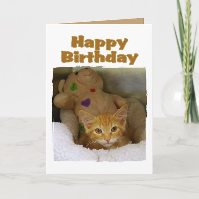Carte Joyeux Anniversaire Kitten (Devant)