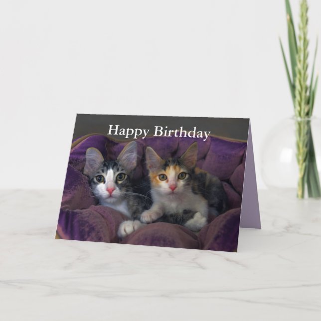 Carte Joyeux Anniversaire Kitten Pair dans un lit pourpr (Devant)