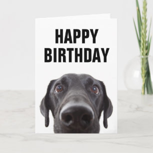 Carte Joyeux Anniversaire   Labrador noir
