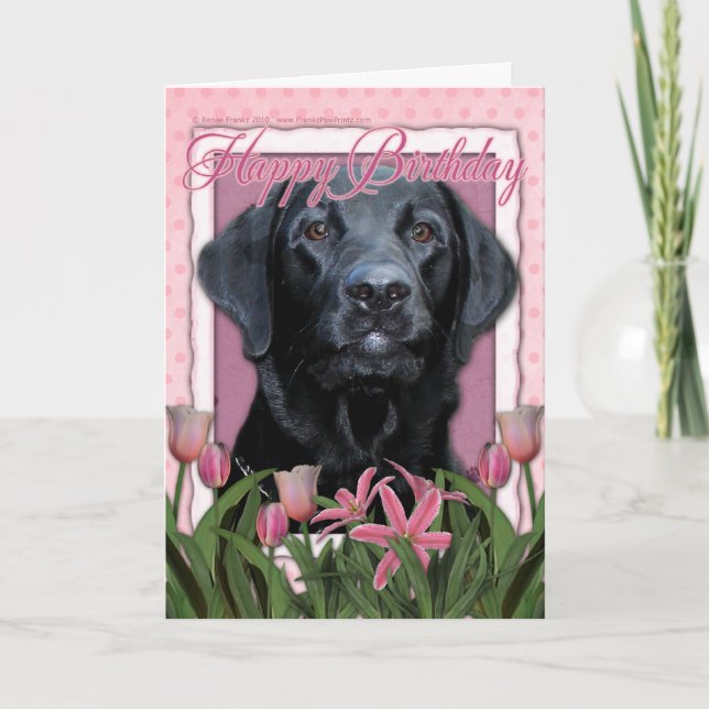 Carte Joyeux anniversaire - Labrador - Noir - Gage (Devant)