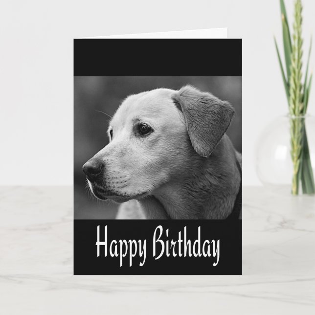 Carte Joyeux anniversaire Labrador Retriever Chien Chien (Devant)