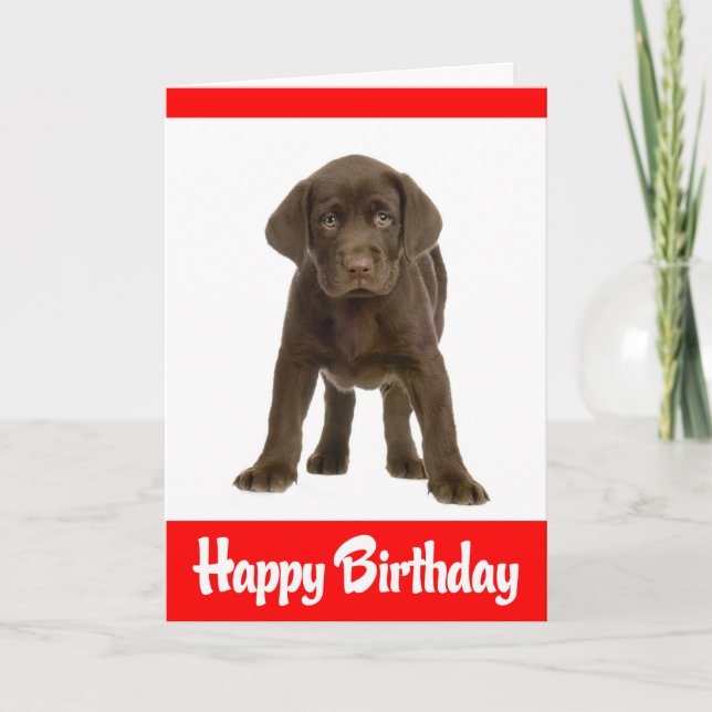 Carte Joyeux anniversaire Labrador Retriever Puppy Dog C (Devant)