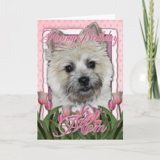 Carte Joyeux Anniversaire Maman - Cairn Terrier - Teddy  (Devant)