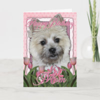 Joyeux Anniversaire Maman - Cairn Terrier - Teddy