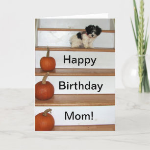 Carte Joyeux anniversaire maman - chiot et citrouille Ha