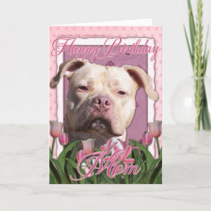 Carte Joyeux Anniversaire Maman - Pitbull - Jersey Girl