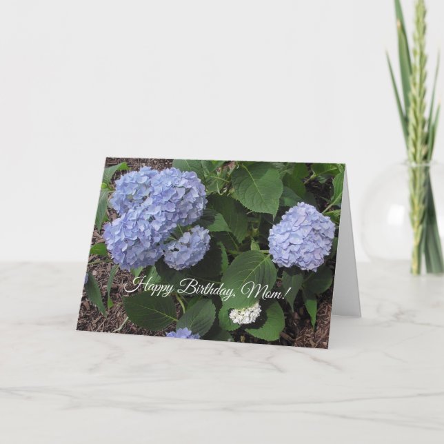 Carte Joyeux Anniversaire Maman, Plutôt Violet Hibiscus (Devant)