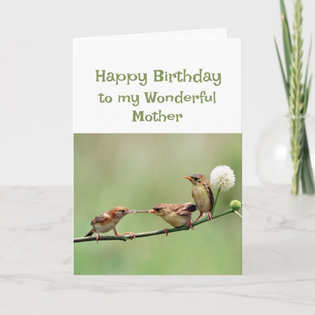 Carte Joyeux Anniversaire Merveilleux Maman Fun Birds (Devant)