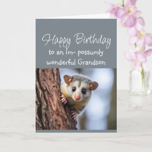 Carte Joyeux Anniversaire Merveilleux Petit-Fils Animal 