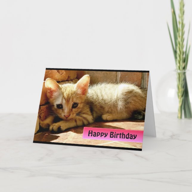 Carte Joyeux Anniversaire Mignon Petit Chaton (Devant)
