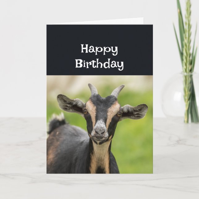 Carte Joyeux anniversaire Mon vieux chèvre préféré s'amu (Devant)
