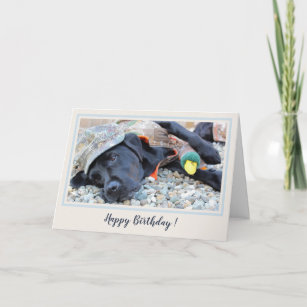 Carte Joyeux anniversaire Noir Labrador mignonne Chasse 