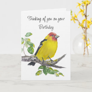 Carte Joyeux Anniversaire Oiseau Tanager Occidental Aqua