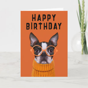 Carte Joyeux anniversaire Orange Boston Terrier