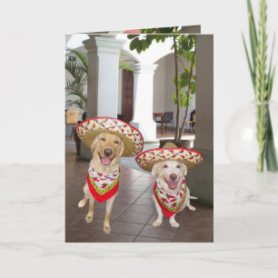 Carte Joyeux anniversaire ! ou cumpleaños de Feliz de ¡