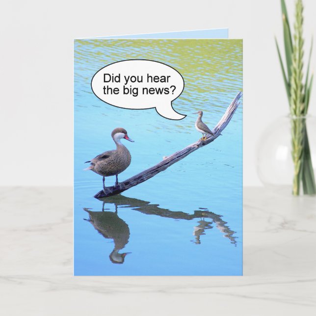 Carte Joyeux anniversaire Petit Humour d'oiseaux (Devant)