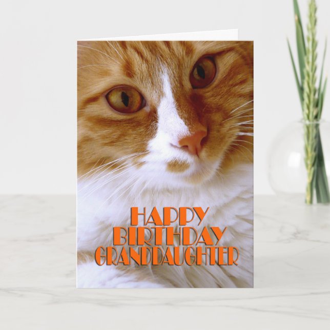 Carte Joyeux Anniversaire Petite-Fille - Chat Mignon (Devant)