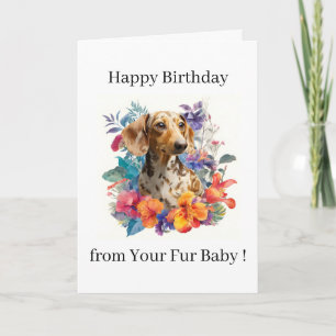 Carte Joyeux Anniversaire Photo Chien Chat Animal de Com