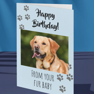 Carte Joyeux Anniversaire Photo Chien Chat Animal de Com