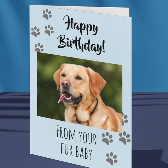 Carte Joyeux Anniversaire Photo Chien Chat Animal de Com (Créateur téléchargé)