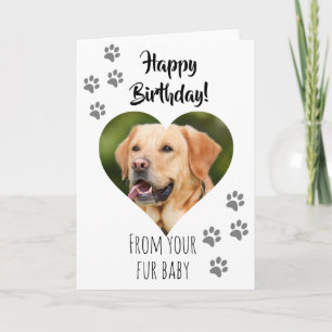 Carte Joyeux Anniversaire Photo Chien Chat Animaux de co