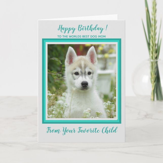 Carte Joyeux Anniversaire - Photo pour animaux de compag (Devant)