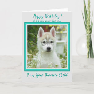 Carte Joyeux Anniversaire - Photo pour animaux de compag