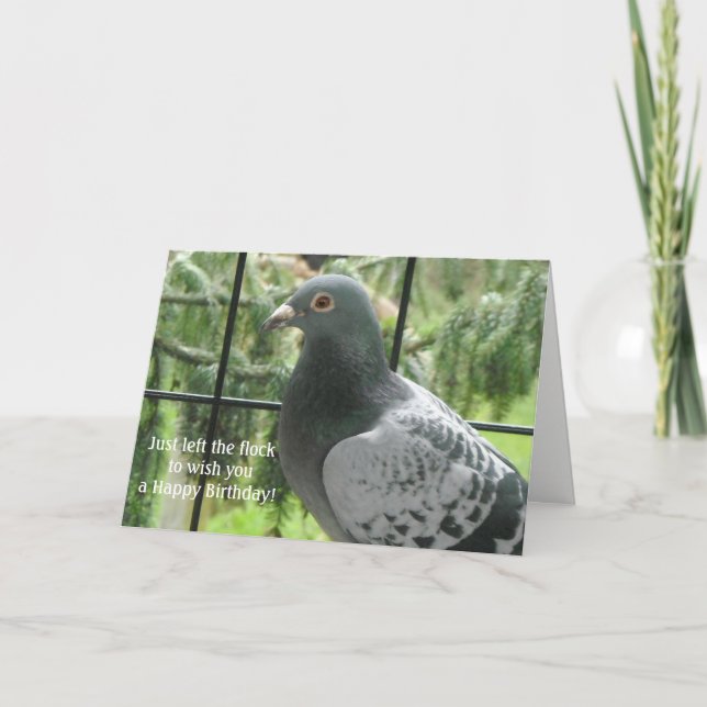 Carte Joyeux Anniversaire Pigeon Cool (Devant)