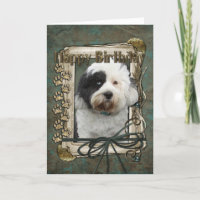 Joyeux Anniversaire - Poches de pierre - Terrier t