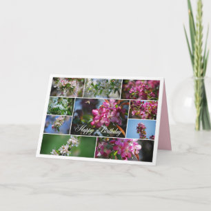 Carte Joyeux anniversaire Pomme fleurit et Abeilles de m
