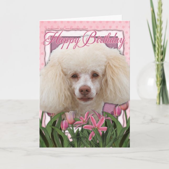 Carte Joyeux anniversaire - Poodle (Devant)