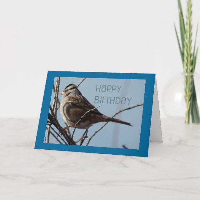 Carte Joyeux anniversaire pour les oiseaux d'hiver (Devant)