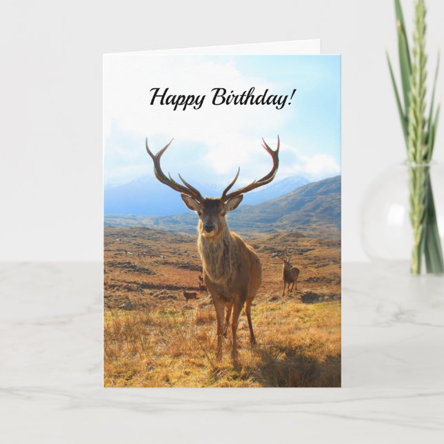 Carte Joyeux anniversaire pour une personne de cerfs (Devant)