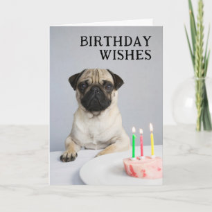 Carte Joyeux Anniversaire Pug