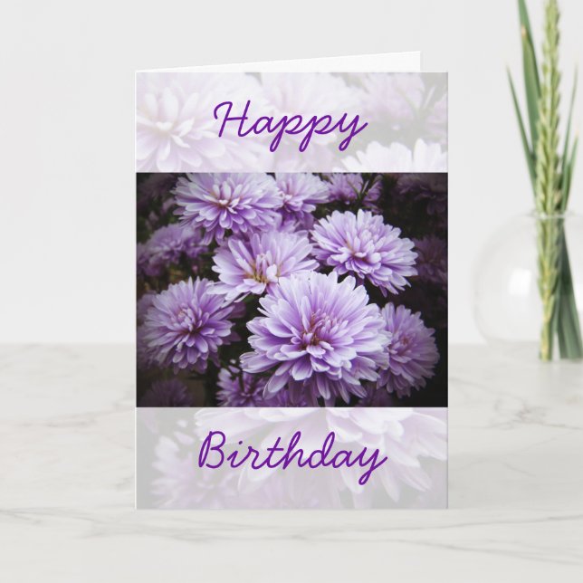 Carte Joyeux anniversaire - Purple Haze Chrysanthemums (Devant)