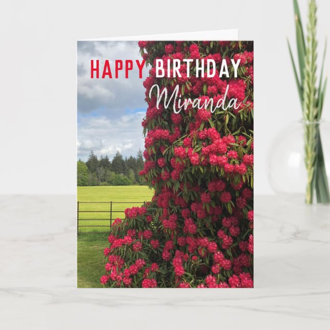 Carte Joyeux anniversaire - Rhododendron et vue Pittores (Devant)