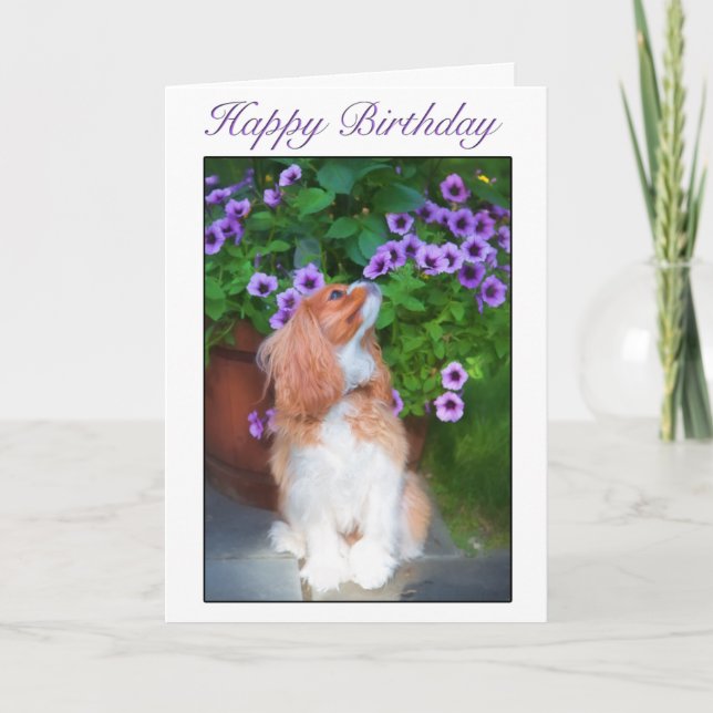 Carte Joyeux Anniversaire Roi Charles Fleurs Odeur Chien (Devant)